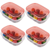 4 Pack 1 Gallon, 2 Packs, Red, Large Rectangular Plastic Food Storage Containers